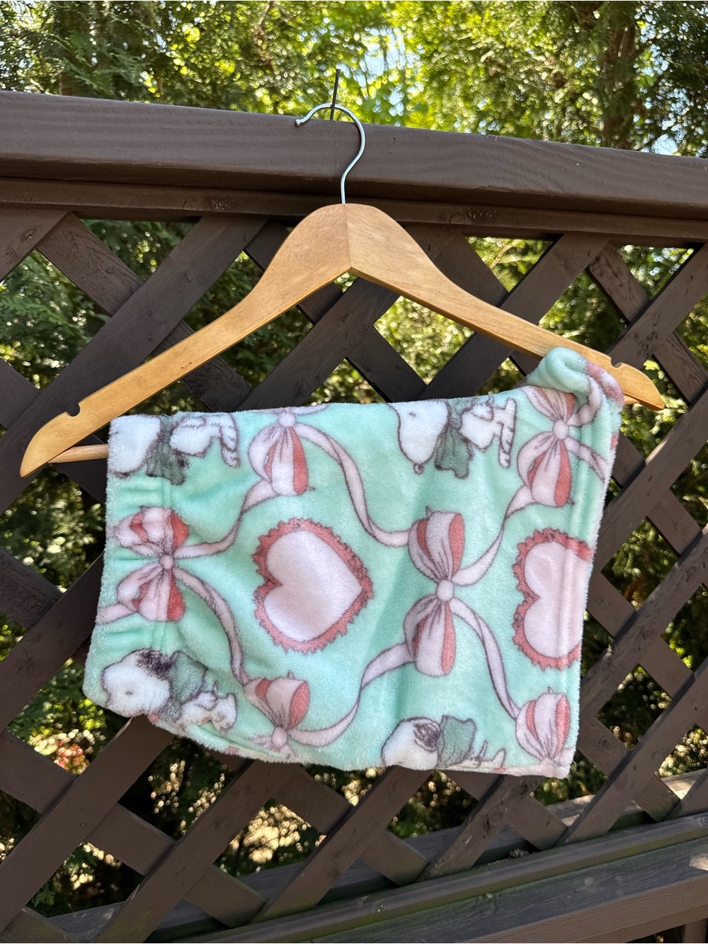 Peanuts Mint & Pink Plush Pajama Shorts with Heart and Bow Print
